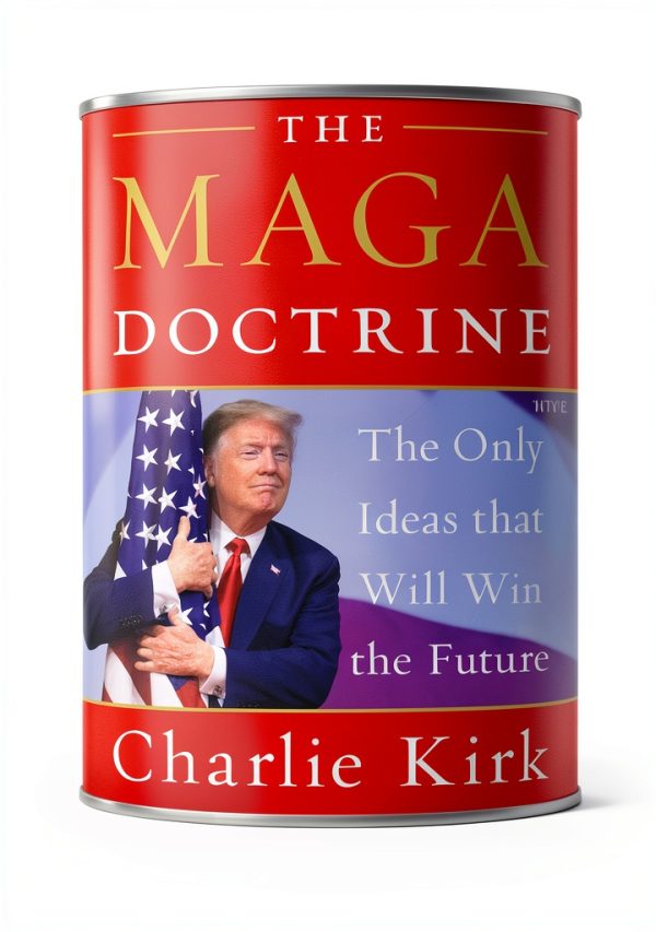 Broadside Books Practical Politics Kindle Edition 2020 Release-0