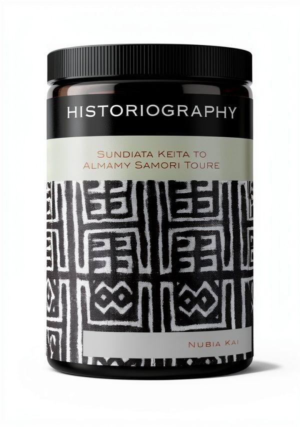 Lexington Books African Literary Criticism Kindle eBook 345 Page-0